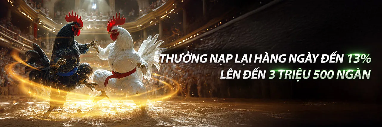 Đá gà trực tuyến sôi động tại 8xbet nhà cái