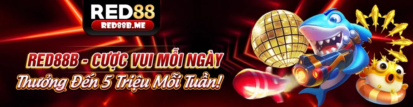 Ưu đãi đăng ký người dùng mới 8xbet nhà cái