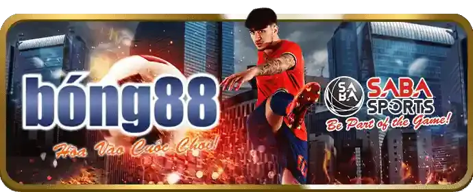 Đá gà trực tiếp trên ứng dụng 8xbet nhà cái
